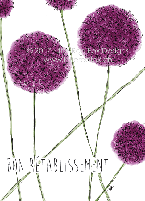 Retablissement allium