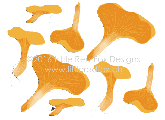 Chanterelles