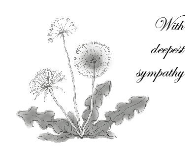 Dandelion Sympathy