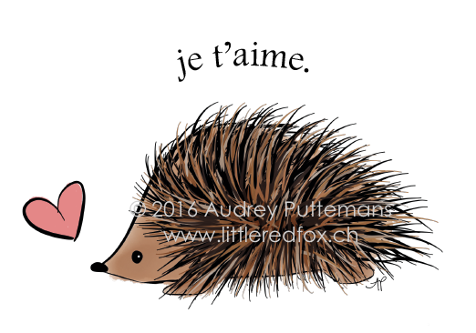 Love you - Hedgehog (FR)